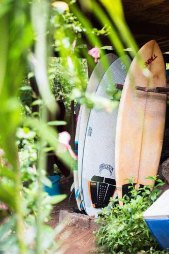 Ein Garten an der Unterkunft Hostel Clandestino Maderas