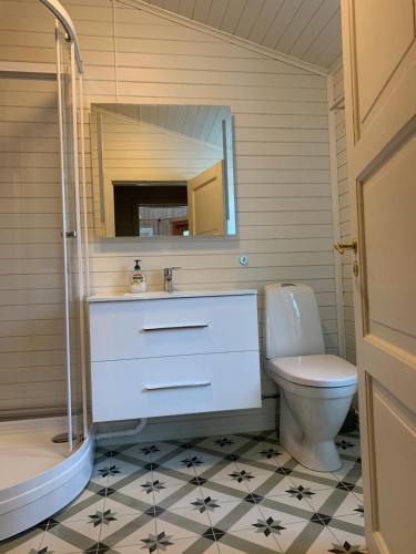 a bathroom with a sink and a toilet and a mirror at Holiday home by Ryten in Fredvang