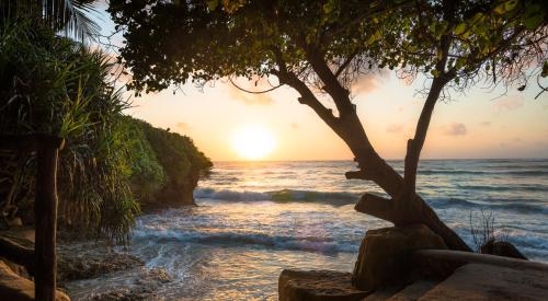 a sunset on the beach with a tree at Swahili Beach in Diani Beach