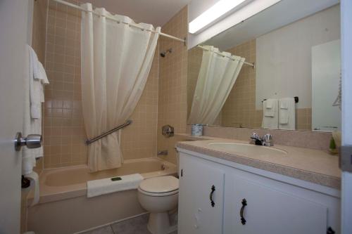 a bathroom with a sink and a toilet and a bath tub at Rodeway Inn in Woodstock