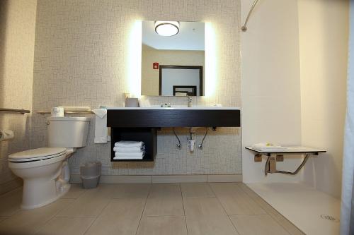 A bathroom at Holiday Inn Express Hotel & Suites Ashland, an IHG Hotel
