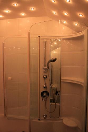 a shower stall in a bathroom with lights on the ceiling at Ferienwohnung Kuck in Bad Pyrmont