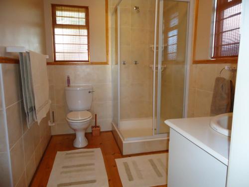 a bathroom with a toilet and a shower and a sink at 5 Dune Park in Keurboomstrand