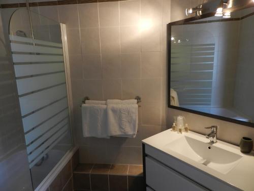 a bathroom with a sink and a shower and a mirror at Hotel du Mont Blanc in Sallanches