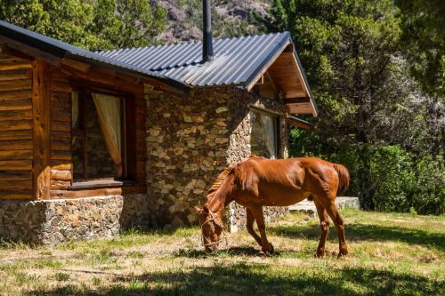 a horse grazing in the grass next to a cabin at Estancia Del Carmen Mountain Resort in San Carlos de Bariloche