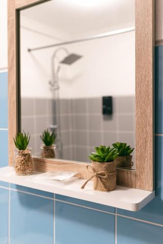 a bathroom shelf with three potted plants in front of a mirror at Atlantis Flat. Relaxing Moments in Machico
