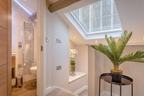 a bathroom with a window and a plant on a stool at Heritage Mews Nottingham in Nottingham