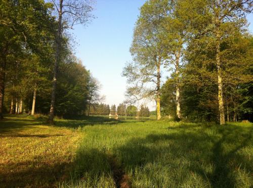 a field of grass with trees in the background at Gite de L'Hirondelle in Mareuil-en-Brie