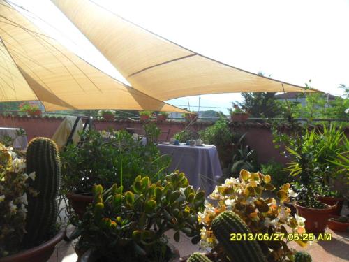 a patio with a table and a bunch of plants at B&B Home Holiday Villa delle Acacie agriturismo in Sala Consilina