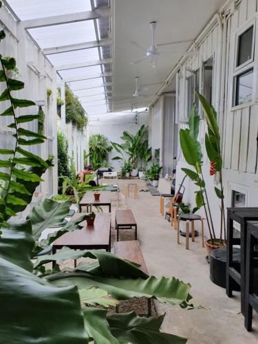 Fotografie z fotogalerie ubytování The PARK Society v destinaci Chiang Mai