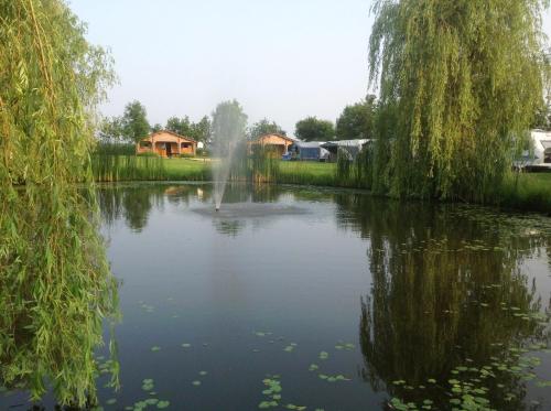 a pond with a fountain in the middle of it at Vakantie-Oord "De Hulsdonken" in Bergeijk