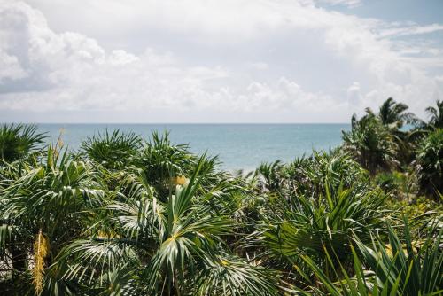 a view of the ocean from a beach with palm trees at NEST Tulum in Tulum