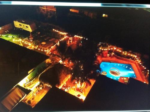 an overhead view of a pool and palm trees at night at The Driftwood Oasis in West Palm Beach
