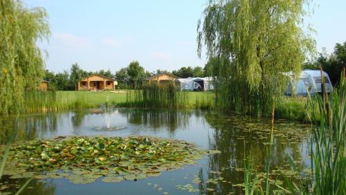 a pond with lily pads and tents in the background at Vakantie-Oord "De Hulsdonken" in Bergeijk