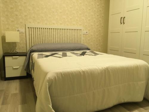 a bedroom with a large bed with a white bedspread at Centrico Apartament al lado de la estacion d tren Vivienda de uso Turistico in Logroño