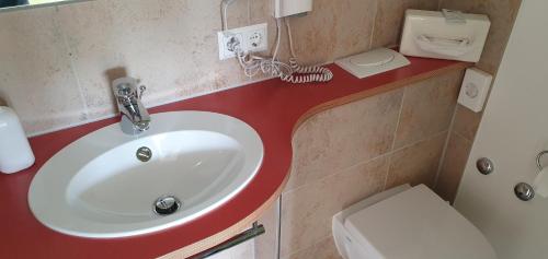 a bathroom with a white sink and a toilet at Landgasthof/Hotel Hirsch im Grünen in Mehrstetten