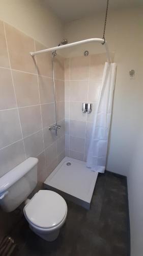 a bathroom with a toilet and a shower at LEKU Lodge & Deptos in General Acha