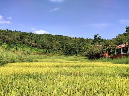 a field of grass with a house in the background at Porsu in Canacona