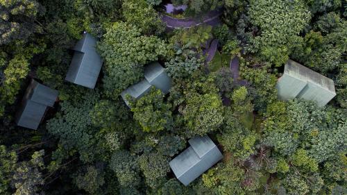 an overhead view of a forest with trees and houses at La Tigra Rainforest Lodge in Fortuna