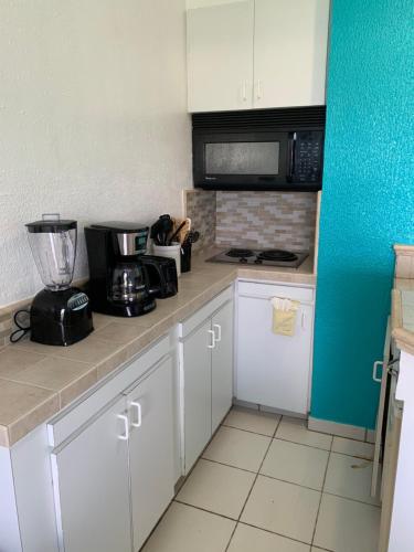 a kitchen with a stove and a microwave at Flamboyan on the Bay Resort & Villas in Canaan