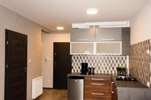 Η κουζίνα ή μικρή κουζίνα στο TK Apartments Namysłów
