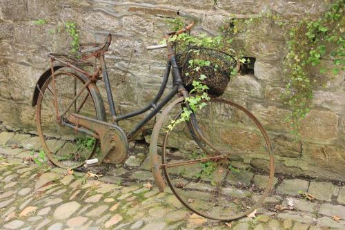 Montar en bicicleta en Chateau Cardinal o alrededores