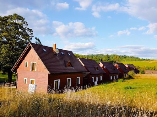 a row of houses in a field of grass at Chata Salma Jeseníky in Dolní Moravice