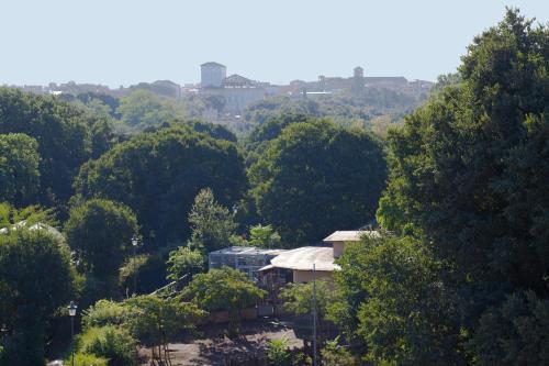 a forest of trees with a building in the middle at Aldrovandi Residence City Suites in Rome