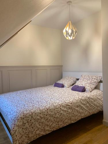 a bedroom with a bed with two pillows on it at Historical town center spacious flat in Colmar