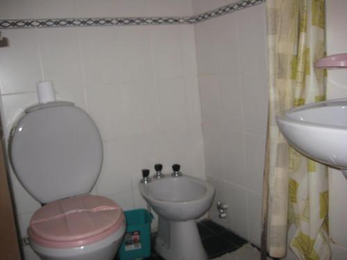 a small bathroom with a toilet and a sink at Hotel Colonial in Buenos Aires