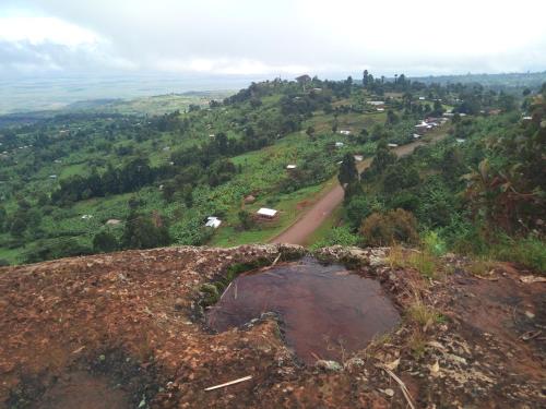 Gallery image of Sipi Coffee Lodge in Kapchorwa