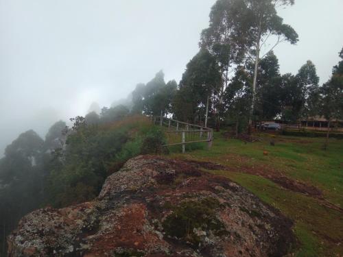 Gallery image of Sipi Coffee Lodge in Kapchorwa