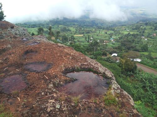 Gallery image of Sipi Coffee Lodge in Kapchorwa
