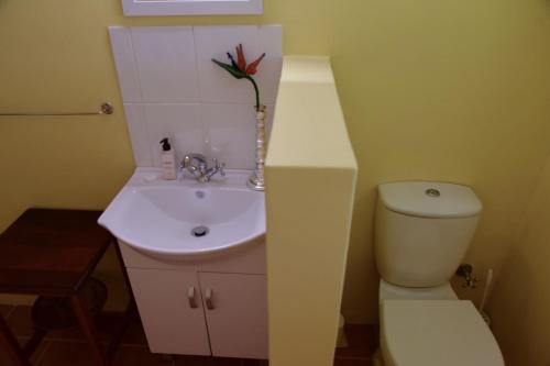 a bathroom with a white toilet and a sink at On Pinewood Guest House in Cape Town