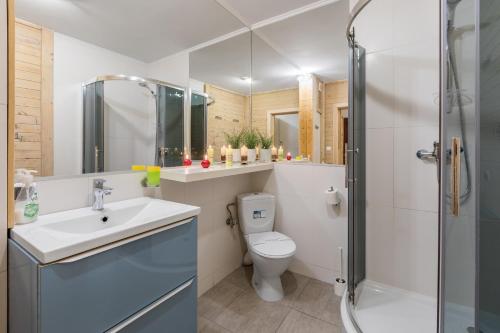 y baño con aseo, lavabo y ducha. en Apartamenty Smrekowa Zakopane, en Zakopane