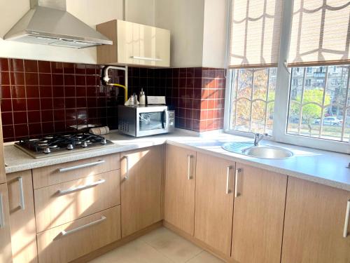 a kitchen with wooden cabinets and a sink and a microwave at Aparthotel in Chişinău