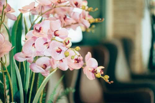 a bunch of pink flowers in a vase at Blue Sky Residence Airport in Ban Bang Phli Yai