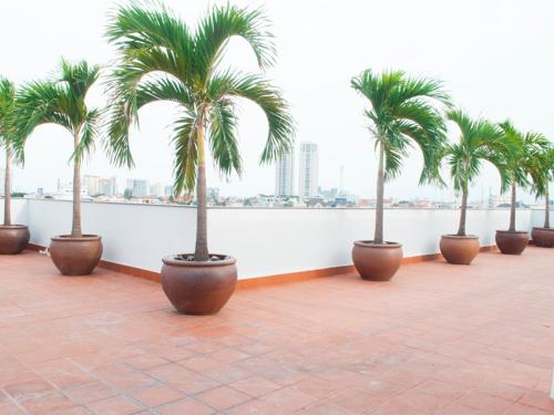 a row of palm trees inront of a wall at Glenwood Residences in Ho Chi Minh City