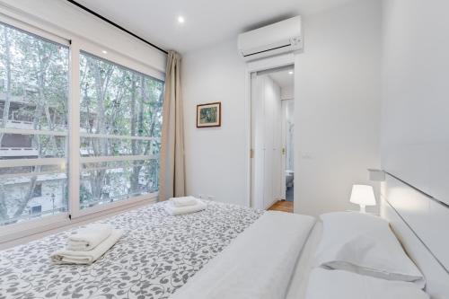 Giulio Cesare Apartment