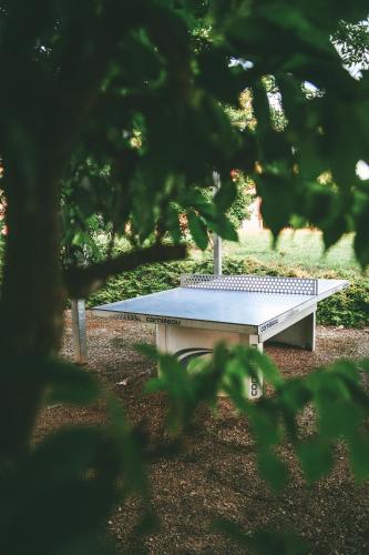 Gallery image of Terres de France - Domaine de Claire Rive in Prayssac