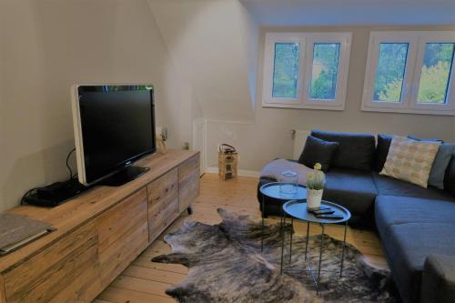 グンマースバッハにあるausZEITのリビングルーム(青いソファ、テレビ付)