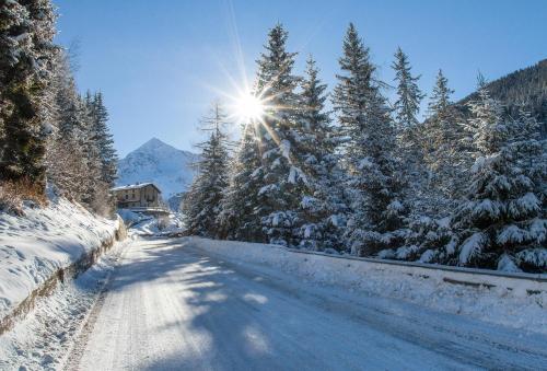 a snow covered road with the sun shining through trees at Al Baitin - Charme & Nature - in Santa Caterina Valfurva