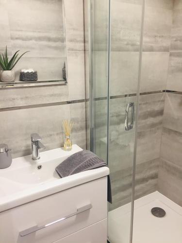 a bathroom with a sink and a shower at Apartament Bora Stronie Śląskie in Stronie Śląskie