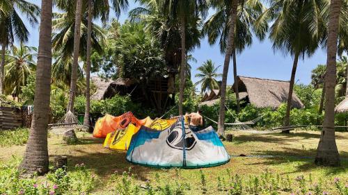 a group of bags sitting on the ground next to palm trees at Wind Blend Kite Resort in Kalpitiya