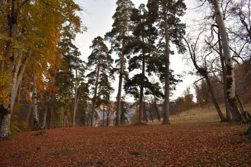 Fotografie z fotogalerie ubytování Bakuriani Park Residence Apartment #3 v destinaci Bakuriani