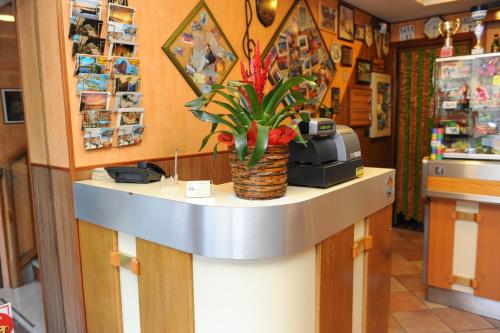 a counter in a store with a plant on it at Hotel Isolabella in Bussoleno