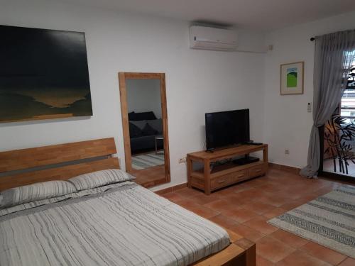 a bedroom with a bed and a tv and a mirror at Estudio en el centro de San Juan de Alicante in San Juan de Alicante