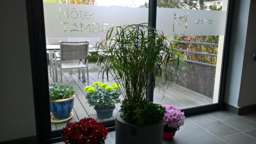 un grupo de plantas en macetas sentadas en un patio en Hotel Tambourin en Vitry-le-François