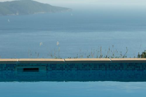 a swimming pool with a tile wall and grass at Ionian View Villas in Sivota