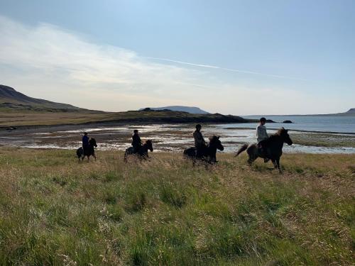 a group of people riding horses on the beach at Hvammsvík Nature Resort in Kjósahreppur